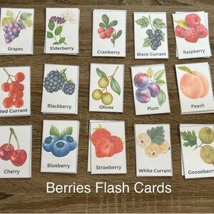 Berries Montessori Memory Match Flash Card Game for Kids